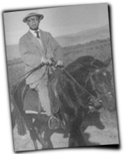 GFX_report_event_zhang_junmai_horse